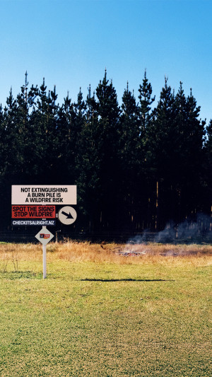 Wildfire Burn Pile 9x16 image